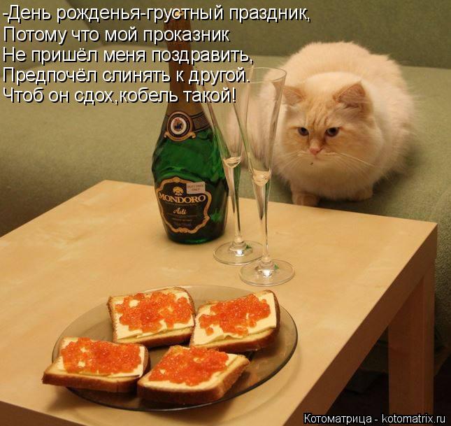 Котоматрица: -День рожденья-грустный праздник, Потому что мой проказник Не пришёл меня поздравить, Предпочёл слинять к другой. Чтоб он сдох,кобель такой!