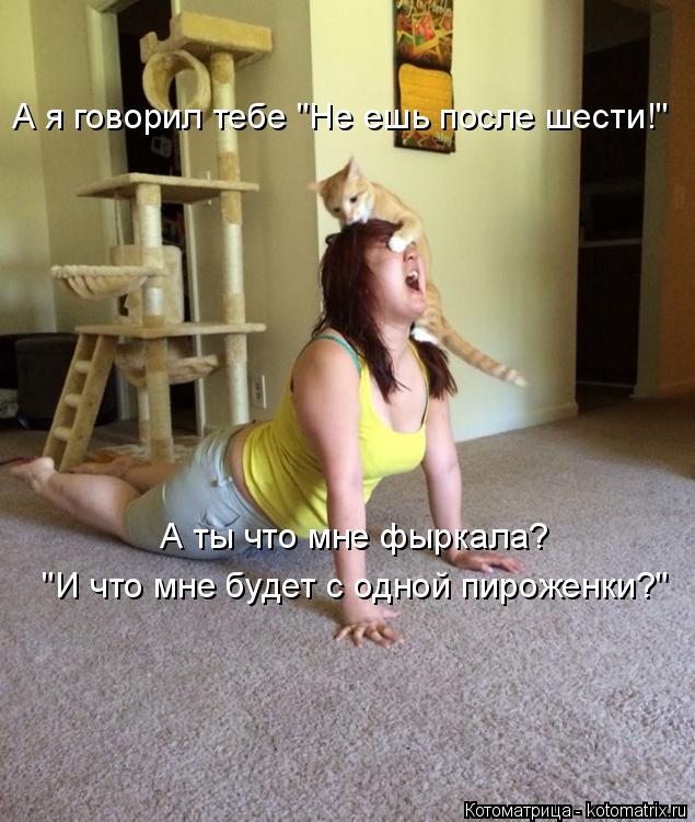 А я говорил тебе "Не ешь после шести!" А ты что мне фыркала? "И что мне будет с одной пироженки?"... Котоматрица: А я говорил тебе "Не ешь после шести!" А ты что мне фыркала? "И что мне будет с одной пироженки?"