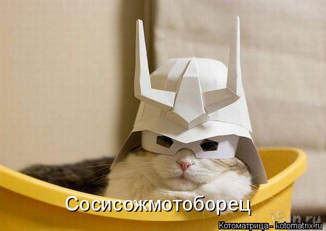 Сосисожмотоборец... Котоматрица: Сосисожмотоборец