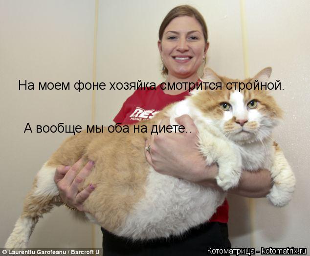На моем фоне хозяйка смотрится стройной. А вообще мы оба на диете..... Котоматрица: На моем фоне хозяйка смотрится стройной. А вообще мы оба на диете..