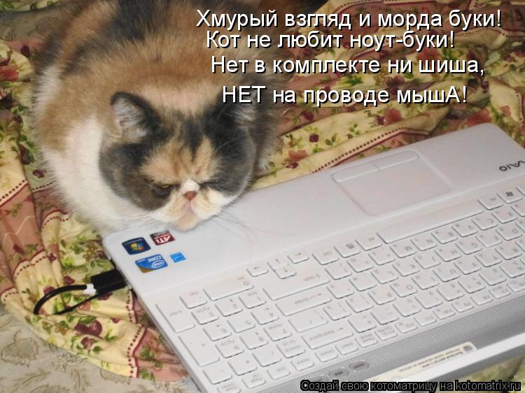 Котоматрица: Хмурый взгляд и морда буки! Кот не любит ноут-буки! Нет в комплекте ни шиша, НЕТ на проводе мышА!