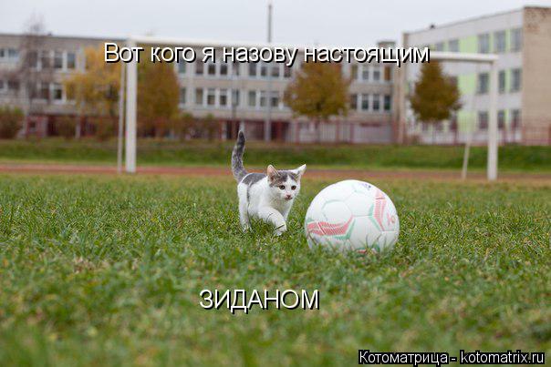Вот кого я назову настоящим ЗИДАНОМ... Котоматрица: Вот кого я назову настоящим ЗИДАНОМ