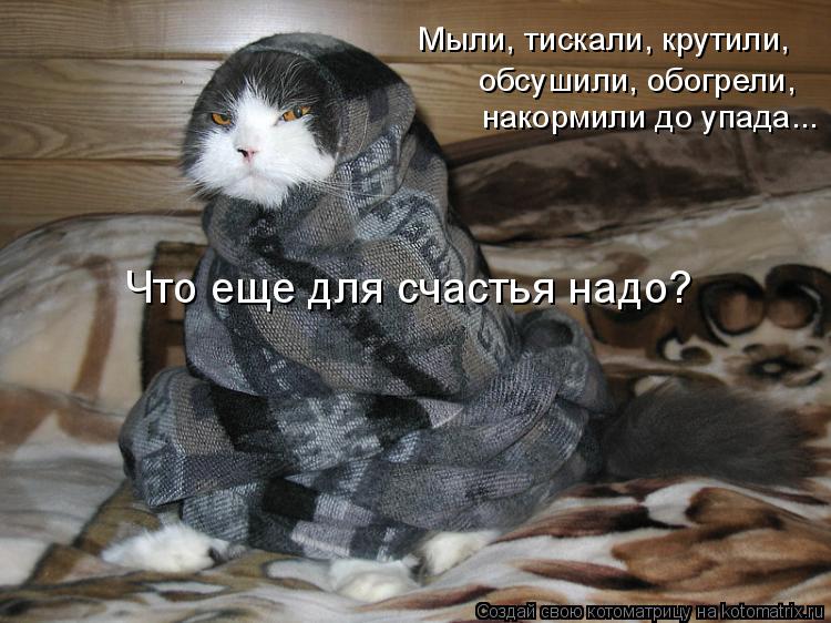 Мыли, тискали, крутили, обсушили, обогрели, накормили до упада... Что еще для счастья надо?... Котоматрица: Мыли, тискали, крутили, обсушили, обогрели, накормили до упада... Что еще для счастья надо?