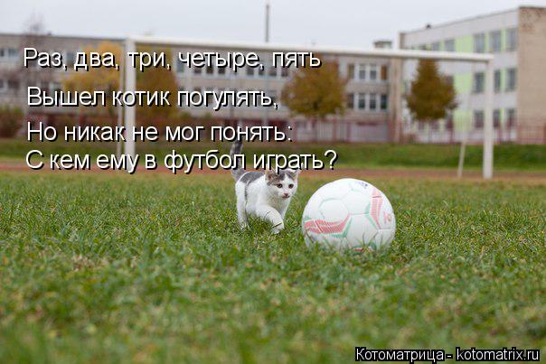 Раз, два, три, четыре, пять Вышел котик погулять, Но никак не мог понять: С кем ему в футбол играть?... Котоматрица: Раз, два, три, четыре, пять Вышел котик погулять, Но никак не мог понять: С кем ему в футбол играть?