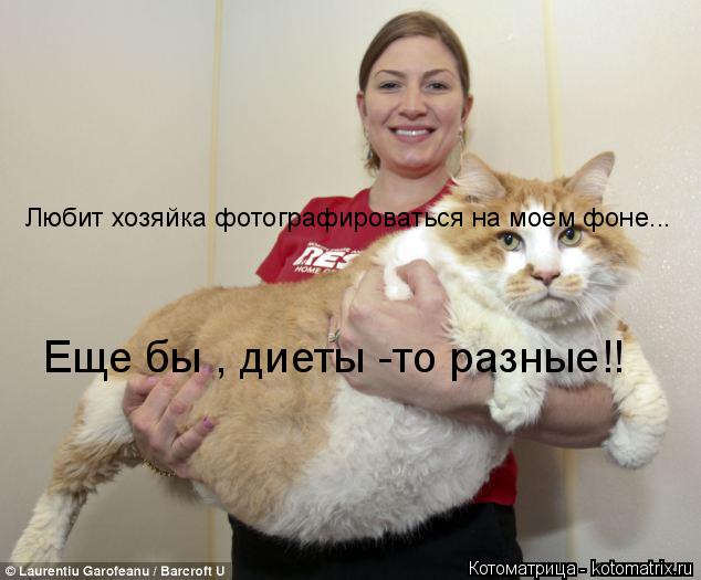 Любит хозяйка фотографироваться на моем фоне... Еще бы , диеты -то разные!!... Котоматрица: Любит хозяйка фотографироваться на моем фоне... Еще бы , диеты -то разные!!