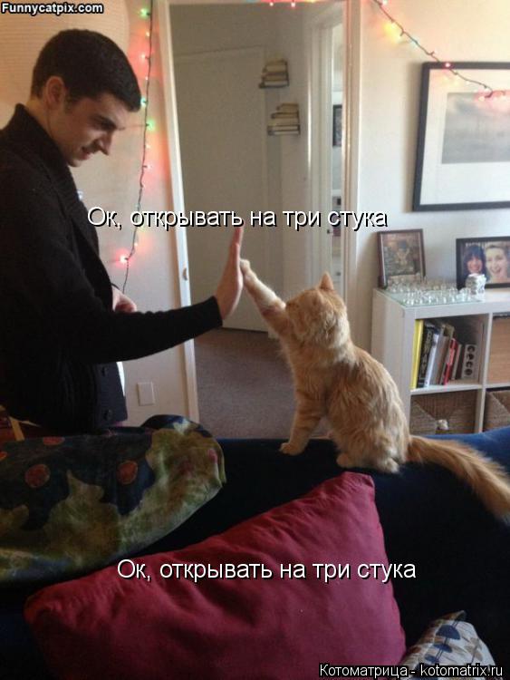 Ок, открывать на три стука Ок, открывать на три стука... Котоматрица: Ок, открывать на три стука Ок, открывать на три стука