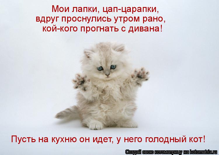 Мои лапки, цап-царапки, кой-кого прогнать с дивана! вдруг проснулись утром рано, Пусть на кухню он ид... Котоматрица: Мои лапки, цап-царапки, кой-кого прогнать с дивана! вдруг проснулись утром рано, Пусть на кухню он идет, у него голодный кот!