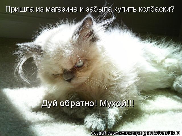 Пришла из магазина и забыла купить колбаски? Дуй обратно! Мухой!!!... Котоматрица: Пришла из магазина и забыла купить колбаски? Дуй обратно! Мухой!!!