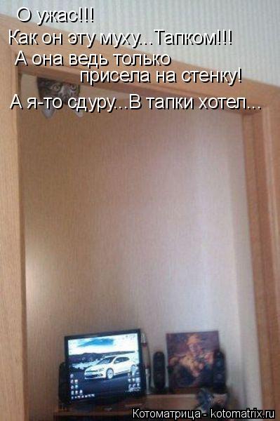 О ужас!!! Как он эту муху...Тапком!!! А она ведь только присела на стенку! А я-то сдуру...В тапки хо... Котоматрица: О ужас!!! Как он эту муху...Тапком!!! А она ведь только присела на стенку! А я-то сдуру...В тапки хотел...