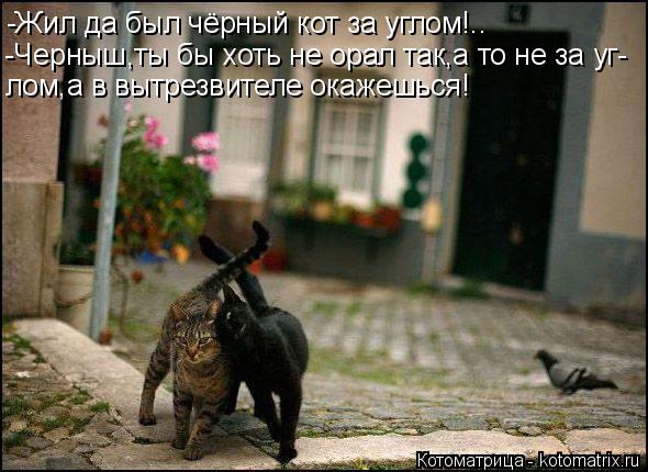-Жил да был чёрный кот за углом!.. -Черныш,ты бы хоть не орал так,а то не за уг- лом,а в вытрезвителе... Котоматрица: -Жил да был чёрный кот за углом!.. -Черныш,ты бы хоть не орал так,а то не за уг- лом,а в вытрезвителе окажешься!