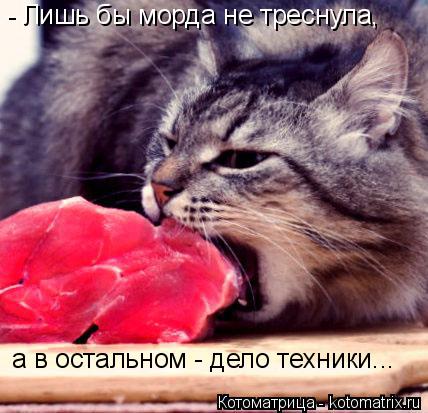- Лишь бы морда не треснула, а в остальном - дело техники...... Котоматрица: - Лишь бы морда не треснула, а в остальном - дело техники...