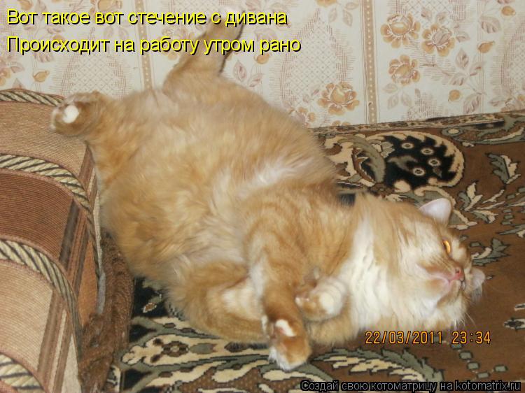 Вот такое вот стечение с дивана Происходит на работу утром рано... Котоматрица: Вот такое вот стечение с дивана Происходит на работу утром рано