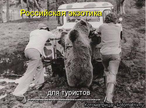 для туристов \ ------------------------------- / Российская экзотика... Котоматрица: для туристов \ ------------------------------- / Российская экзотика