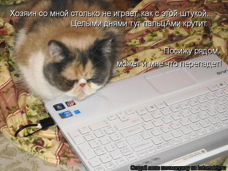 Хозяин со мной столько не играет, как с этой штукой... может и мне что перепадет! Посижу рядом, Цел... Котоматрица: Хозяин со мной столько не играет, как с этой штукой... может и мне что перепадет! Посижу рядом, Целыми днями тут пальцАми крутит.