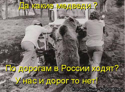 Да какие медведи ? По дорогам в России ходят? У нас и дорог то нет!... Котоматрица: Да какие медведи ? По дорогам в России ходят? У нас и дорог то нет!