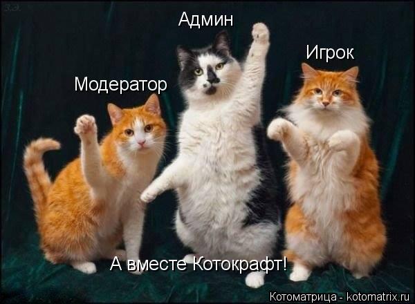 Админ Модератор Игрок А вместе Котокрафт!... Котоматрица: Админ Модератор Игрок А вместе Котокрафт!