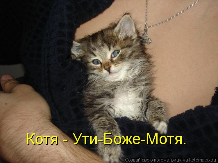 Котя - Ути-Боже-Мотя.... Котоматрица: Котя - Ути-Боже-Мотя.