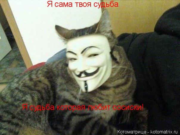 Я сама твоя судьба Я судьба которая любит сосиски!... Котоматрица: Я сама твоя судьба Я судьба которая любит сосиски!