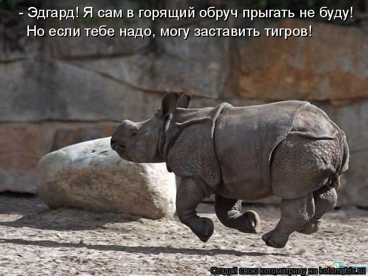 - Эдгард! Я сам в горящий обруч прыгать не буду! Но если тебе надо, могу заставить тигров!... Котоматрица: - Эдгард! Я сам в горящий обруч прыгать не буду! Но если тебе надо, могу заставить тигров!