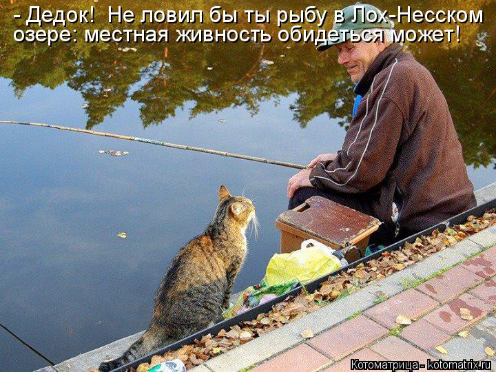 озере: местная живность обидеться может! - Дедок! Не ловил бы ты рыбу в Лох-Несском... Котоматрица: озере: местная живность обидеться может! - Дедок! Не ловил бы ты рыбу в Лох-Несском
