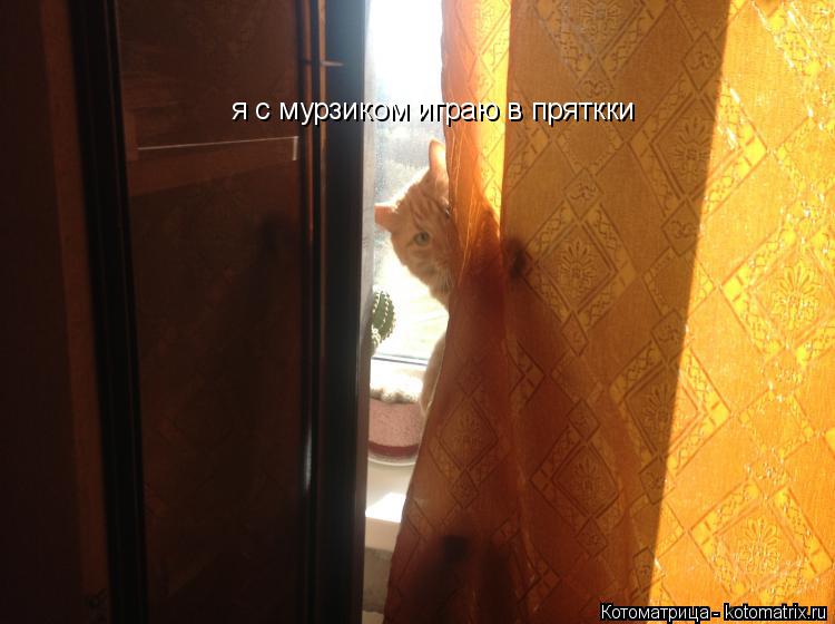 я с мурзиком играю в пряткки... Котоматрица: я с мурзиком играю в пряткки