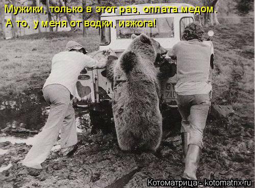 Мужики, только в этот раз, оплата медом. А то, у меня от водки, изжога!... Котоматрица: Мужики, только в этот раз, оплата медом. А то, у меня от водки, изжога!