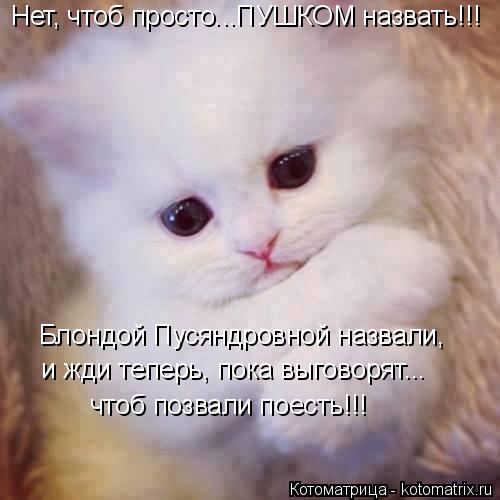 Котоматрица: Нет, чтоб просто...ПУШКОМ назвать!!! Блондой Пусяндровной назвали, и жди теперь, пока выговорят... чтоб позвали поесть!!!
