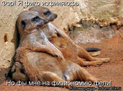 Фэр! Я фико изфиняюфь, Но фы мне на физиономию фели!... Котоматрица: Фэр! Я фико изфиняюфь, Но фы мне на физиономию фели!