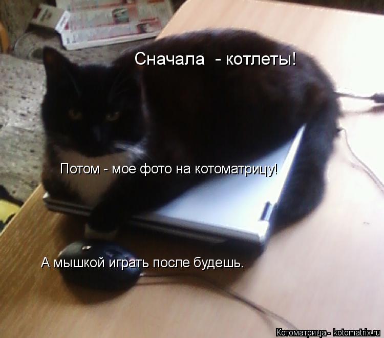 Потом - мое фото на котоматрицу! Сначала - котлеты! А мышкой играть после будешь.... Котоматрица: Потом - мое фото на котоматрицу! Сначала - котлеты! А мышкой играть после будешь.