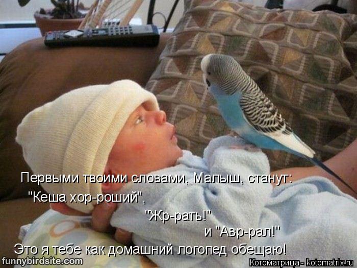Первыми твоими словами, Малыш, станут: Это я тебе как домашний логопед обещаю! "Кеша хор-роший", "Жр-... Котоматрица: Первыми твоими словами, Малыш, станут: Это я тебе как домашний логопед обещаю! "Кеша хор-роший", "Жр-рать!" и "Авр-рал!"