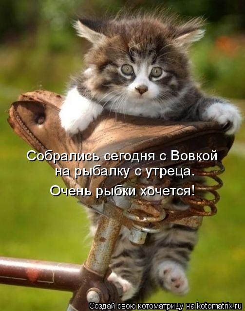 Собрались сегодня с Вовкой на рыбалку с утреца. Очень рыбки хочется!... Котоматрица: Собрались сегодня с Вовкой на рыбалку с утреца. Очень рыбки хочется!