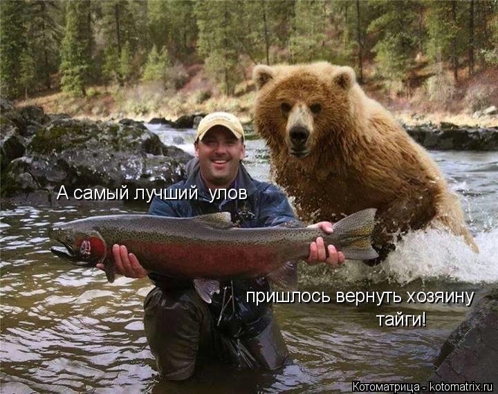 А самый лучший улов пришлось вернуть хозяину тайги!... Котоматрица: А самый лучший улов пришлось вернуть хозяину тайги!