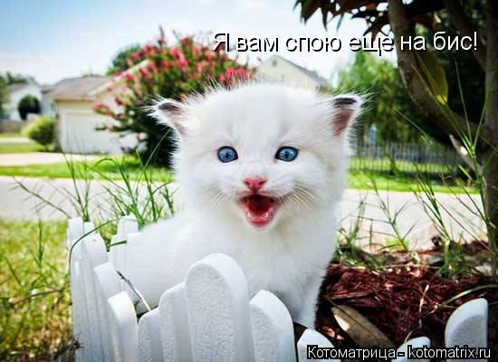 Я вам спою еще на бис!... Котоматрица: Я вам спою еще на бис!