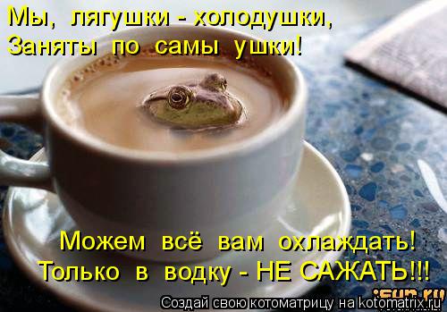 Только в водку - НЕ САЖАТЬ!!! Можем всё вам охлаждать! Мы, лягушки - холодушки, Заняты по сам... Котоматрица: Только в водку - НЕ САЖАТЬ!!! Можем всё вам охлаждать! Мы, лягушки - холодушки, Заняты по самы ушки!