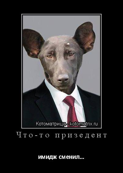 Что-то призедент имидж сменил...... Котоматрица: Что-то призедент имидж сменил...