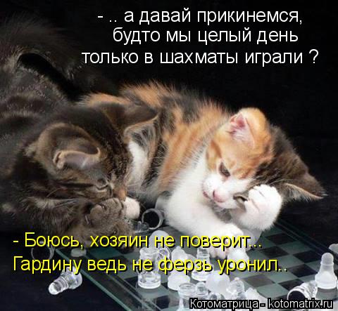 Котоматрица: - .. а давай прикинемся, будто мы целый день только в шахматы играли ? - Боюсь, хозяин не поверит... Гардину ведь не ферзь уронил..