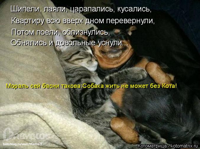 Шипели, лаяли, царапались, кусались, Квартиру всю вверх дном перевернули, Потом поели, облизнулись, О... Котоматрица: Шипели, лаяли, царапались, кусались, Квартиру всю вверх дном перевернули, Потом поели, облизнулись, Обнялись и довольные уснули... Мораль сей
