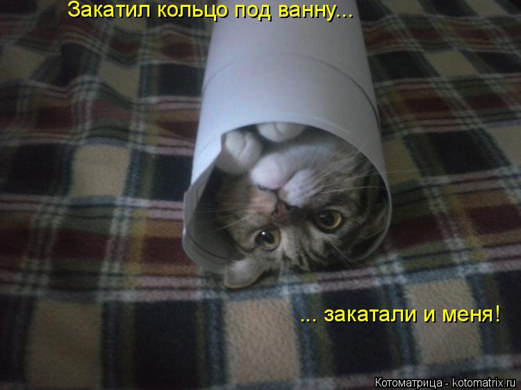 Закатил кольцо под ванну... ... закатали и меня!... Котоматрица: Закатил кольцо под ванну... ... закатали и меня!