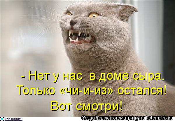 Только «чи-и-из» остался! Вот смотри! - Нет у нас в доме сыра.... Котоматрица: Только «чи-и-из» остался! Вот смотри! - Нет у нас в доме сыра.
