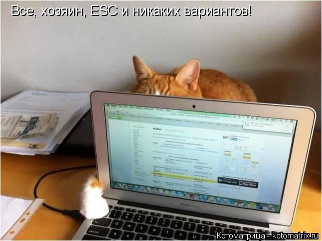 Все, хозяин, ESC и никаких вариантов!... Котоматрица: Все, хозяин, ESC и никаких вариантов!