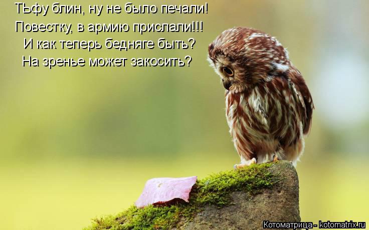 ТЬфу блин, ну не было печали! Повестку, в армию прислали!!! И как теперь бедняге быть? На зренье може... Котоматрица: ТЬфу блин, ну не было печали! Повестку, в армию прислали!!! И как теперь бедняге быть? На зренье может закосить?