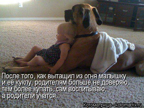 После того, как вытащил из огня малышку и её куклу, родителям больше не доверяю, тем более купать, с... Котоматрица: После того, как вытащил из огня малышку и её куклу, родителям больше не доверяю, тем более купать, сам воспитываю, а родители учатся.