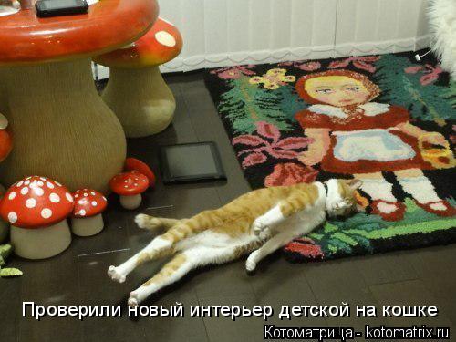 Проверили новый интерьер детской на кошке... Котоматрица: Проверили новый интерьер детской на кошке