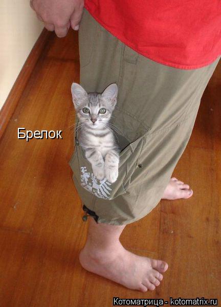 Брелок... Котоматрица: Брелок