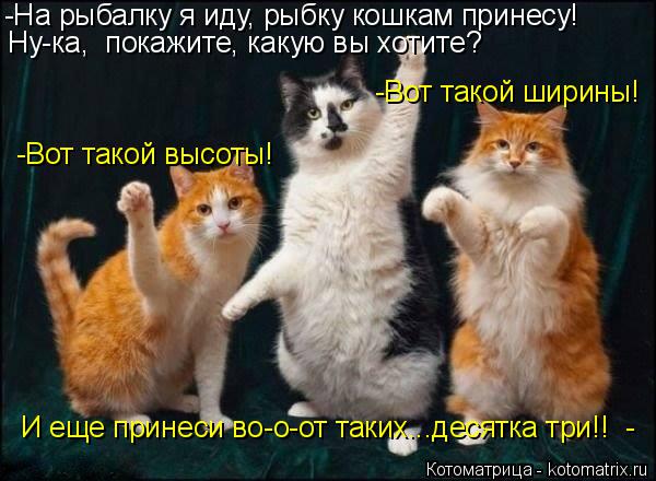 -На рыбалку я иду, рыбку кошкам принесу! Ну-ка, покажите, какую вы хотите? -Вот такой высоты! -Вот т... Котоматрица: -На рыбалку я иду, рыбку кошкам принесу! Ну-ка, покажите, какую вы хотите? -Вот такой высоты! -Вот такой ширины! И еще принеси во-о-от таких...дес