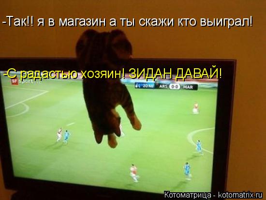 -Так!! я в магазин а ты скажи кто выиграл! -С радастью хозяин! ЗИДАН ДАВАЙ!... Котоматрица: -Так!! я в магазин а ты скажи кто выиграл! -С радастью хозяин! ЗИДАН ДАВАЙ!