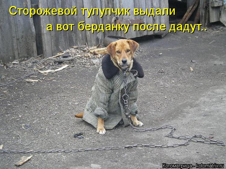 Сторожевой тулупчик выдали а вот берданку после дадут..... Котоматрица: Сторожевой тулупчик выдали а вот берданку после дадут..