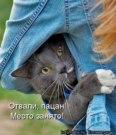 Отвали, пацан! Место занято!... Котоматрица: Отвали, пацан! Место занято!