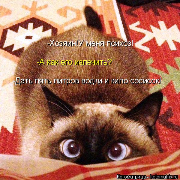 -Хозяин!У меня психоз! -А как его излечить? -Дать пять литров водки и кило сосисок!... Котоматрица: -Хозяин!У меня психоз! -А как его излечить? -Дать пять литров водки и кило сосисок!