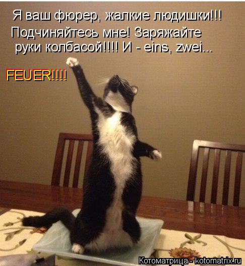 Котоматрица: Я ваш фюрер, жалкие людишки!!! Подчиняйтесь мне! Заряжайте руки колбасой!!!! И - eins, zwei... FEUER!!!! FEUER!!!!